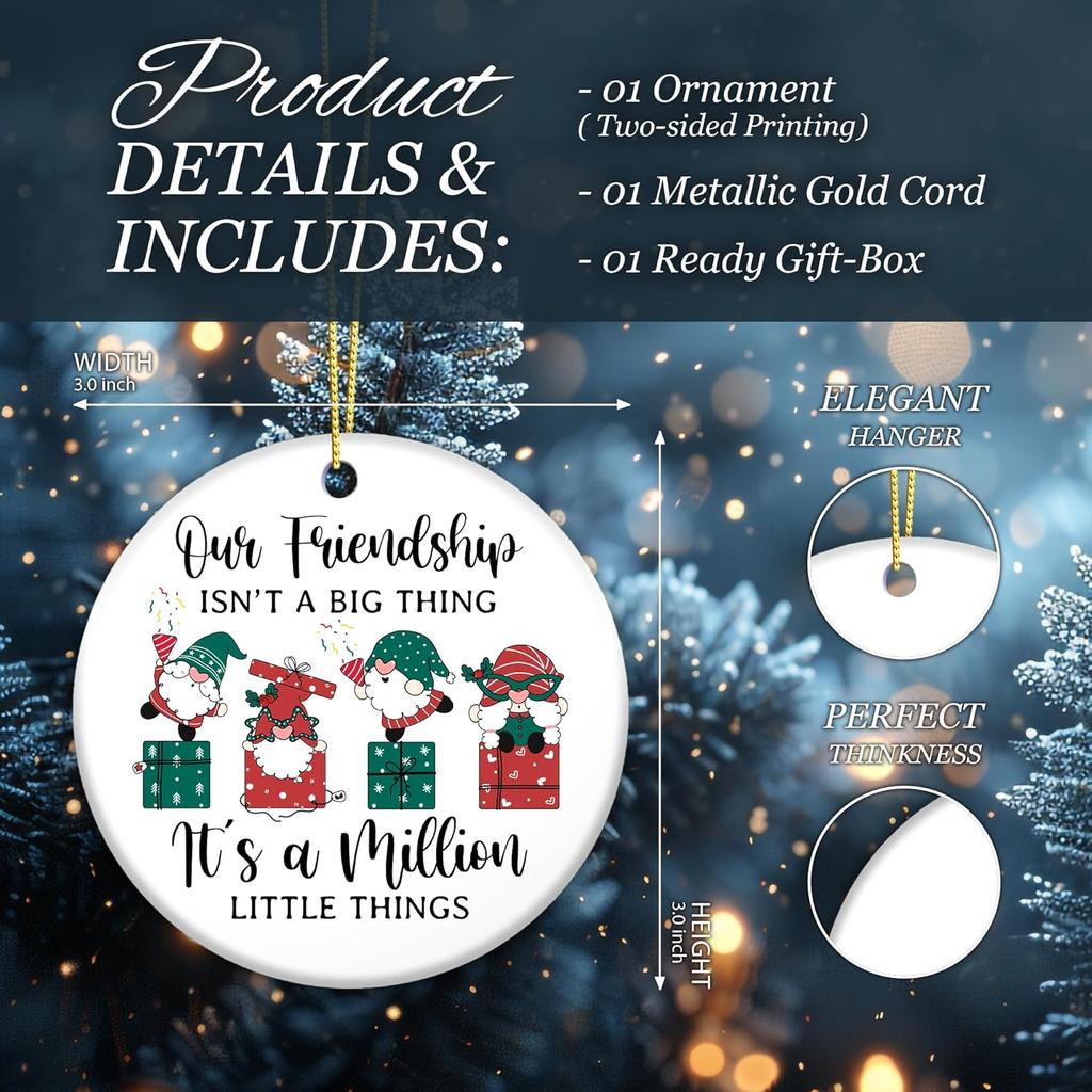 Friendship Ornament 2025 – Funny Best Friend Ornament, Gnome Gift Exchange – Our Friendship Isn’t a Big Thing, It’s a Million Little Things