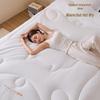 Hengyuanxiang 100% Pure New Wool Thick Winter Quilt