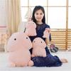 MMIAOO Chinko-chan Plush Toy, Cute Animal Body Pillow, Nap Pillow, Stress Relief Toy, Birthday Gift, Funny, Fluffy, Single Item (30cm)