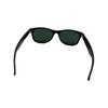 Used Sunglasses NEW WAYFARER