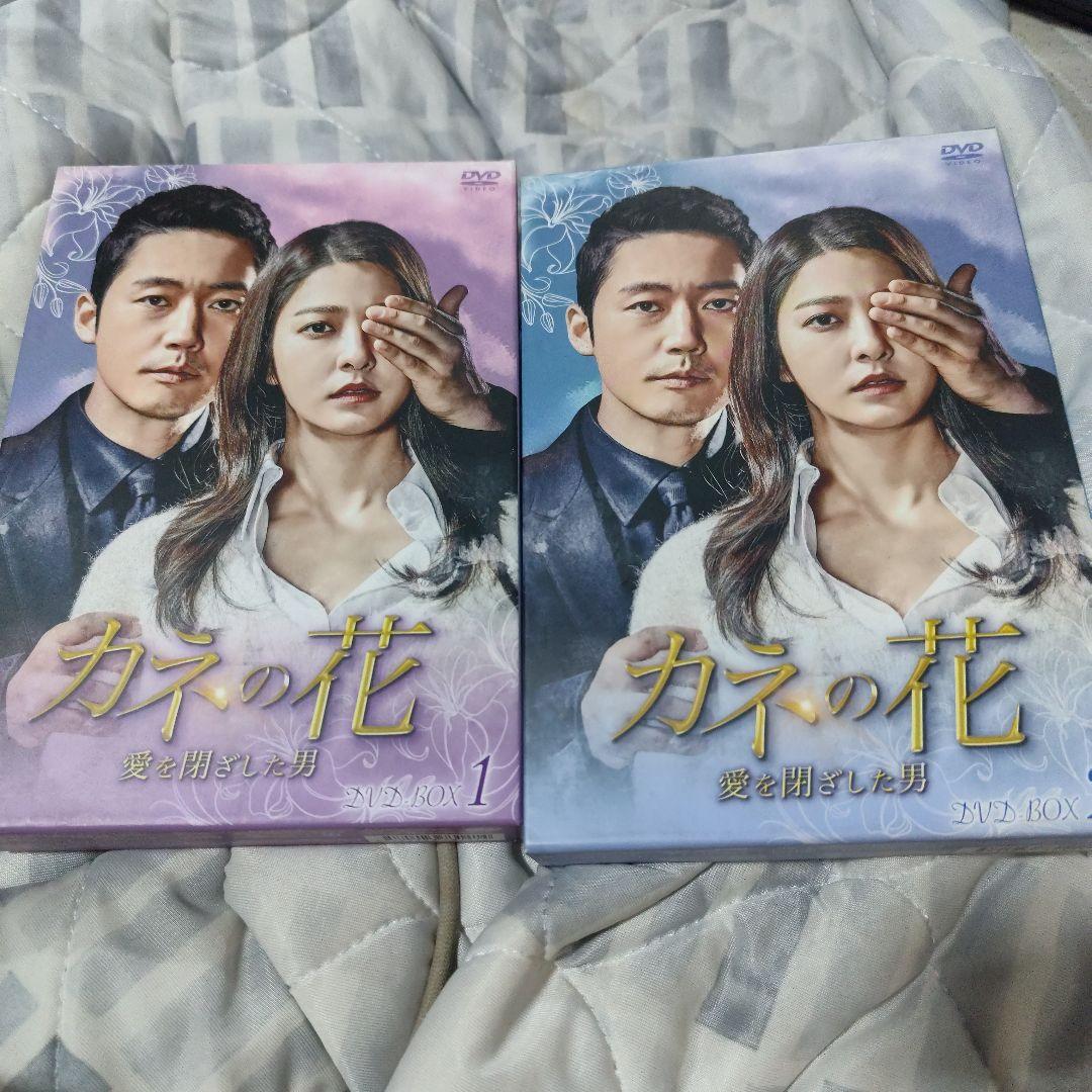 

[USED] Money Flower: The Man Who Closed His Love DVD Jang Hyuk/Park Se Yeon Korean Drama Korean Wave