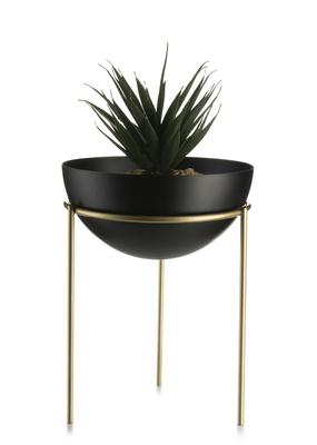 Home Decor – Decorative Flower Pots