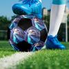 Elsa Theme Size 5 Soccer Ball, Suitable for Both Indoor and Outdoor Matches, a Gift Suitable for Everyone.