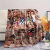 Taylor Swift printing Flannel Blanket Bedroom Sofa Camping Warm blanket Gifts for family and friends-MJ005