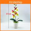 Phalaenopsis Artificial Bonsai Green Plant For Living Room Decor Gift Present