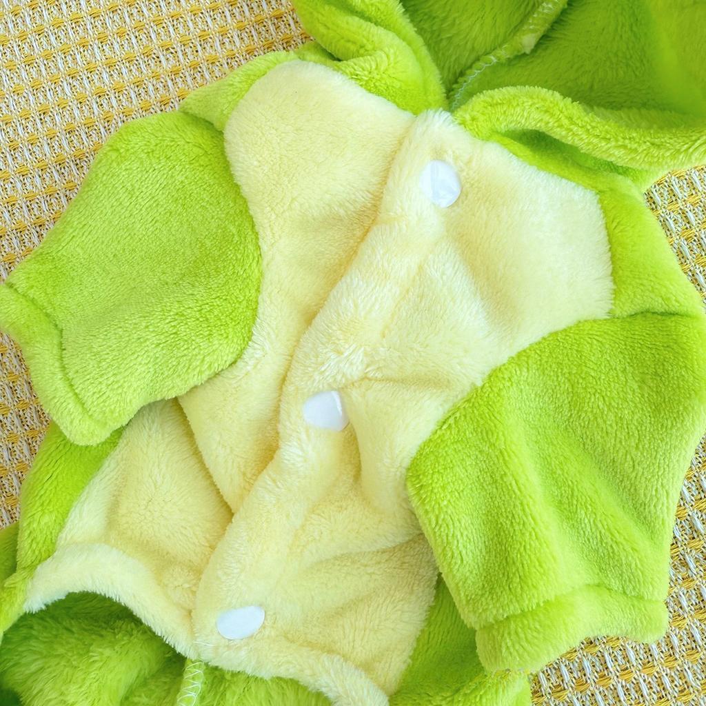 Pet Cute Little Dinosaur Turned Coral Fleece Dog Clothes Autumn and Winter Warm Fleece Pet Cat Clothes