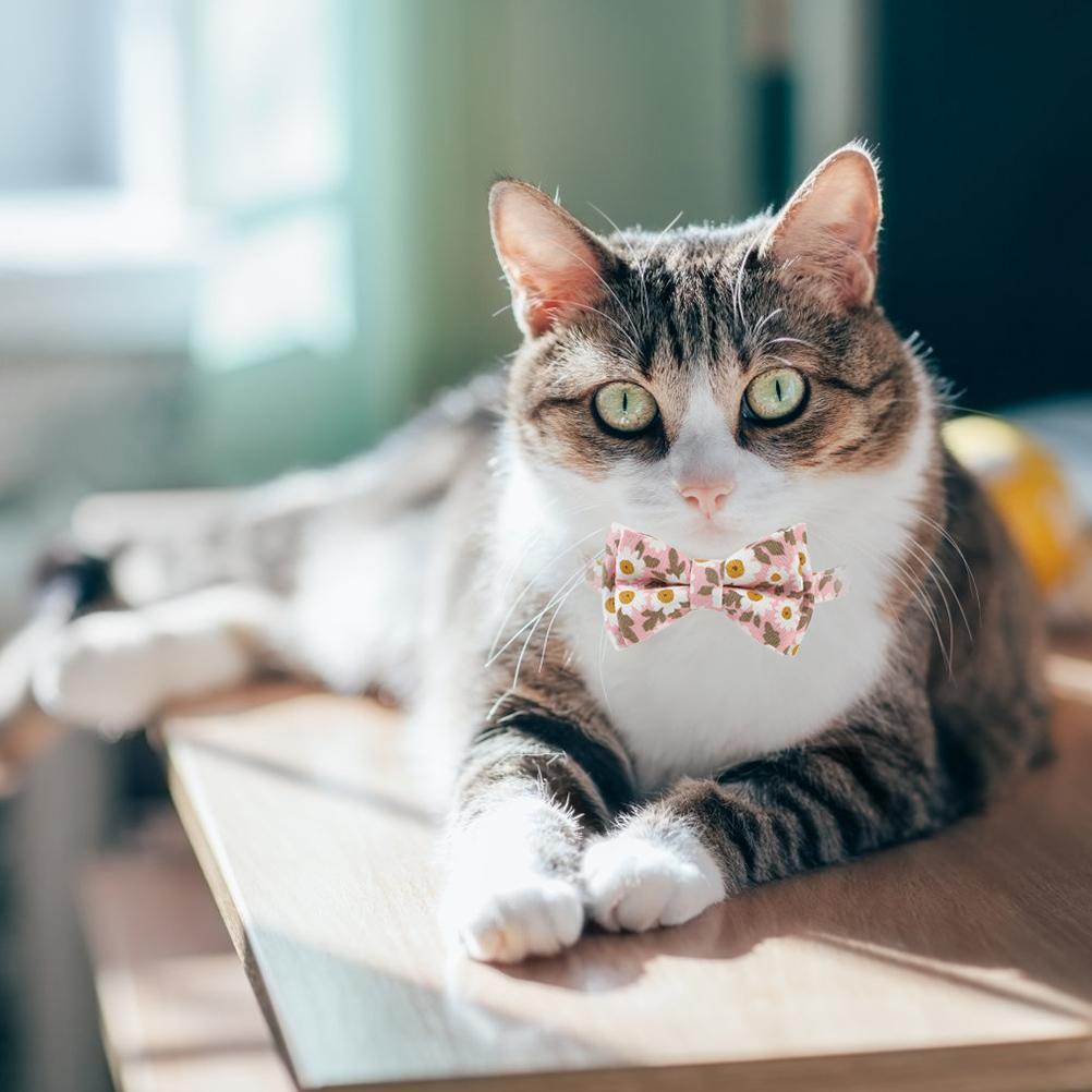Bowtie Cat Collar with Bell Classic Floral Kitten Collars with Removable Bow Tie Adjustable Collar for Kitty Puppy