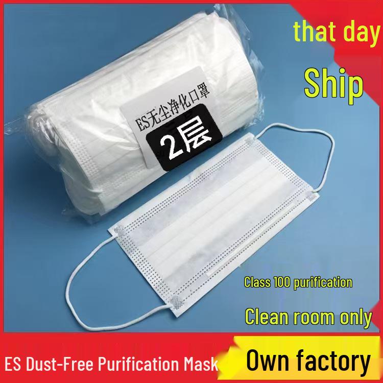 ES Dust-Free Anti-Static Cleanroom Mask, Lint-Free, Disposable, 2-Layer & 3-Layer Options, Smooth & Breathable
