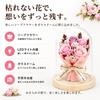 BisesFlower Soap Flower Glass Dome with LED Light - Artificial Soap Flower Gift, Present, Christmas Bouquet, Celebration, Anniversary, Birthday, Flowe