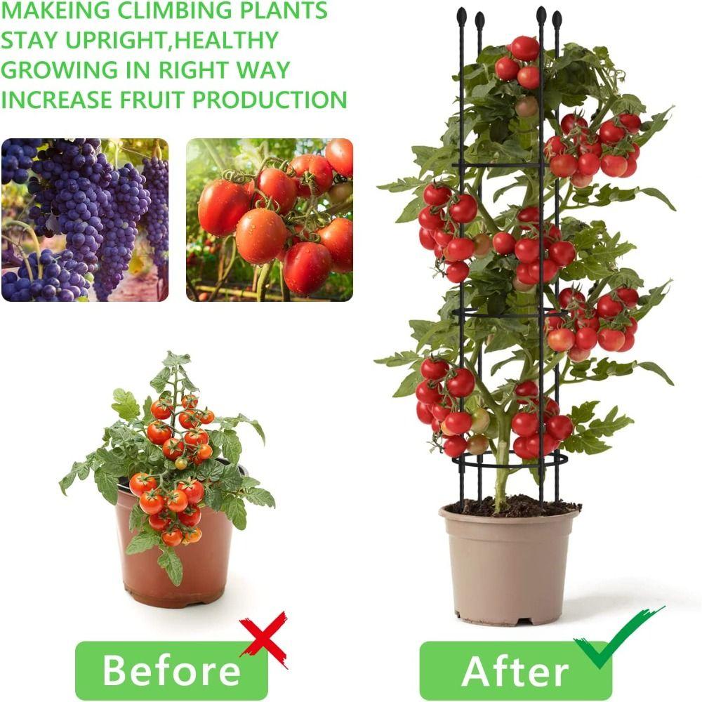 Infinitely Spliceable Plant Support Trellis Climbing Plants Rose Trellis Garden Trellis  Indoor