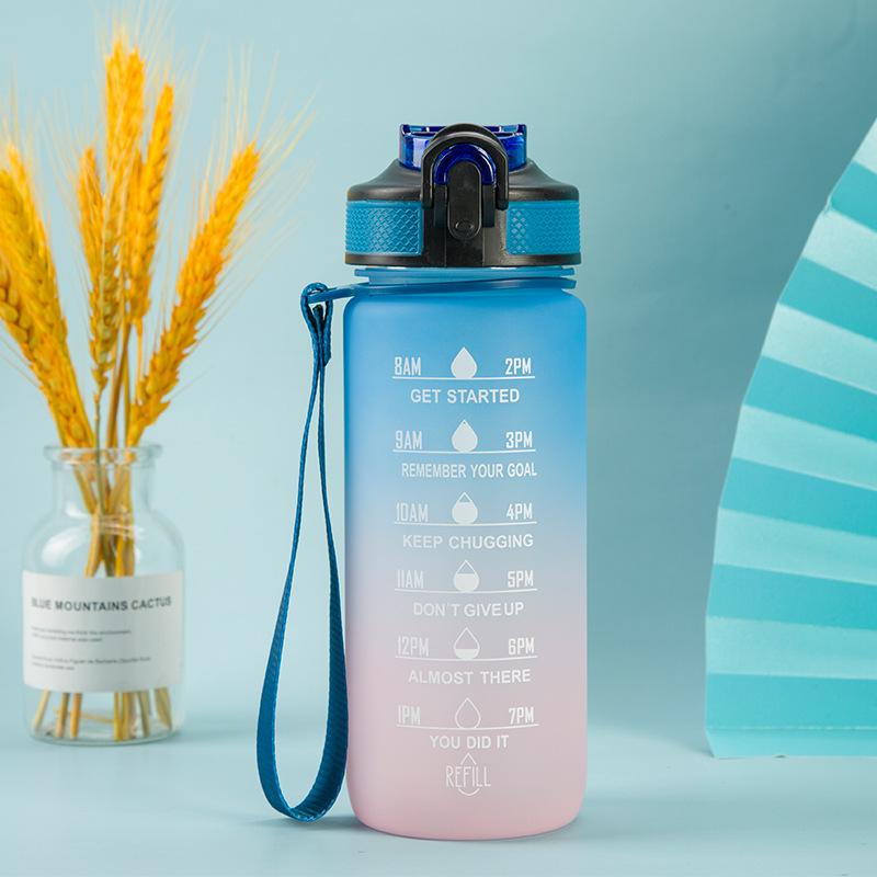BPA Free Frosted Gradient Water Bottle with Straw – Portable Bounce Cup for Students