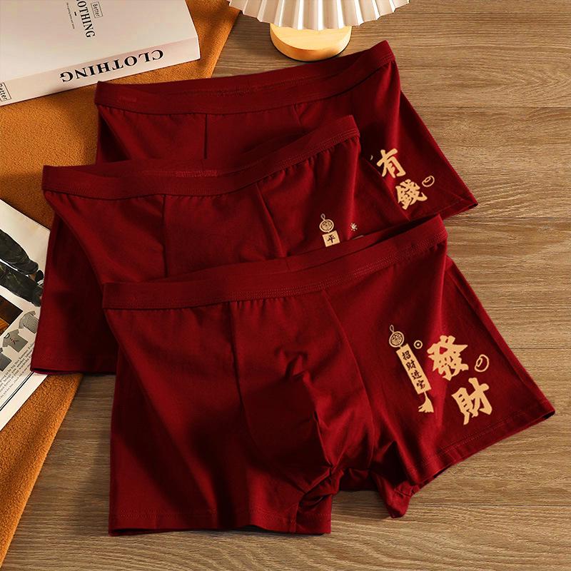 Men's Zodiac Year Wine Red Boxer Briefs - Year of the Horse Celebration Breathable Shorts