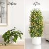 Potted Plant Climbing Support for Indoor Outdoor Flowers Vegetable Fruits Vine