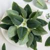 50/100PCS Artificial Plants Rose Leaves Home Room Table Decor Wreaths Wedding Bridal Accessories Headwear Brooch Diy Gifts Box