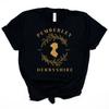 Pemberley T Shirt Jane Austen Shirt Jane Austen Gifts Bookish Tees Dark Academia Clothing Reading Tshirt Literature Harajuku Top