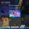 Matsukawa International Portable Outdoor KTV Speaker CN plug (adapter included)