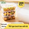 Disposable Rectangular Food Containers with Lids