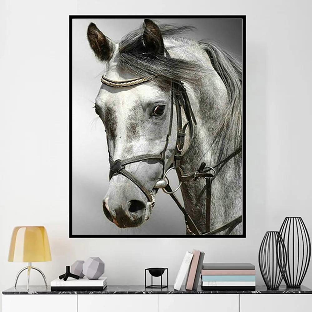 Diamond Art Painting Horse Full Round Embroidery Mosaic Animal Handmade Home Decor
