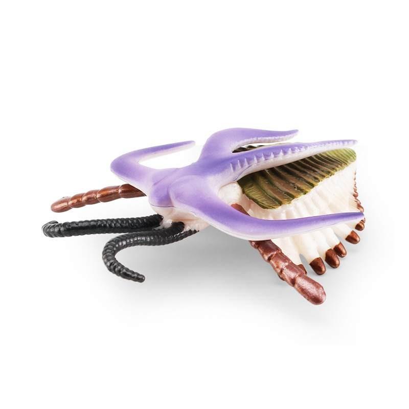 Marine Animal Pvc Model Set With Realistic Detail For Educational Display And Collection