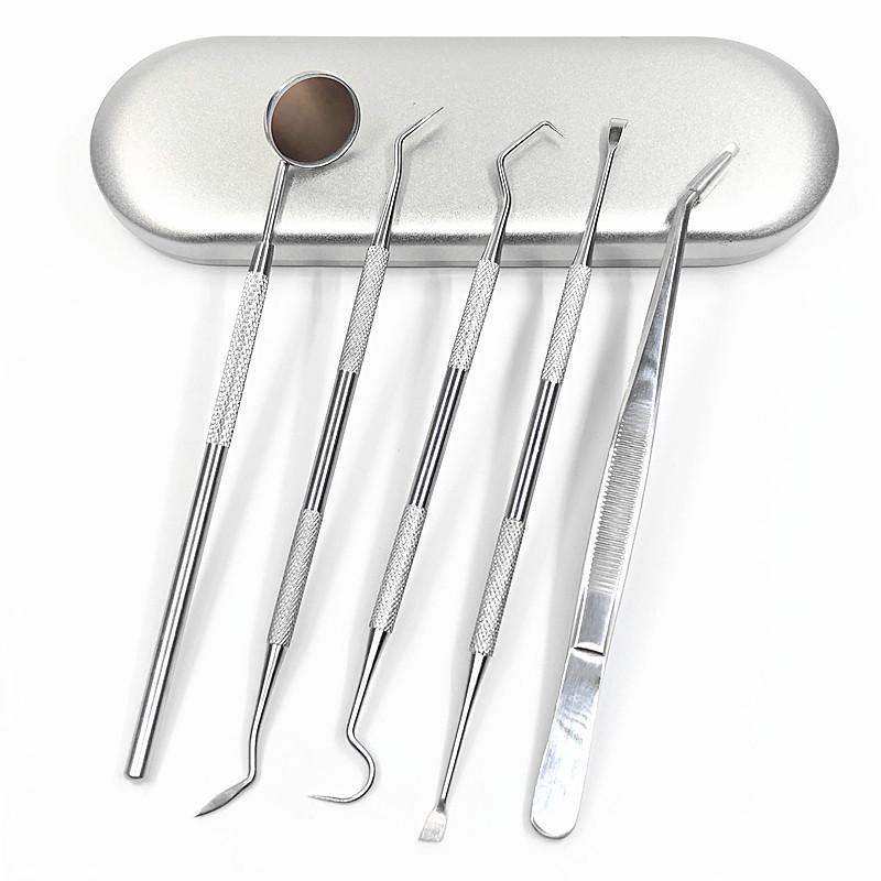 Stainless Steel Dental Tool Set: Endoscope, Toothpick, Calculus & Plaque Remover