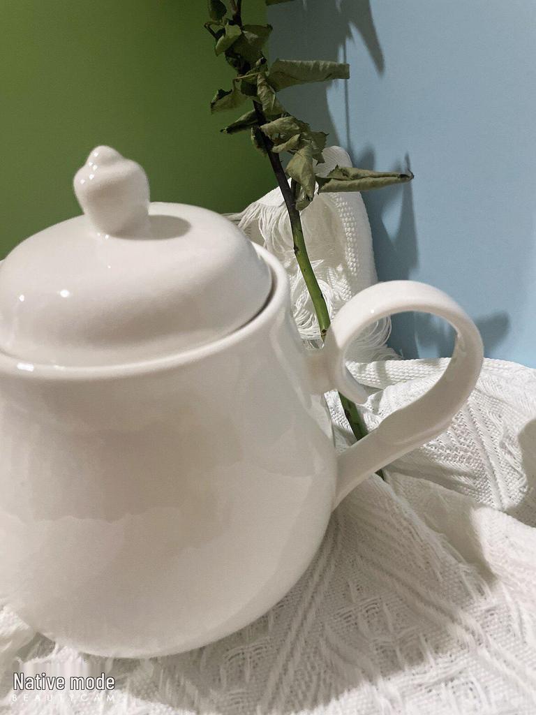 Bule de Chá Cerâmico Francês Estilo Nórdico - Resistente ao Calor, Branco Puro