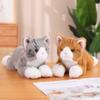 Cat Dog Cute Plush Toy Pillow Interior Decoration Image Realistic Material Soft
