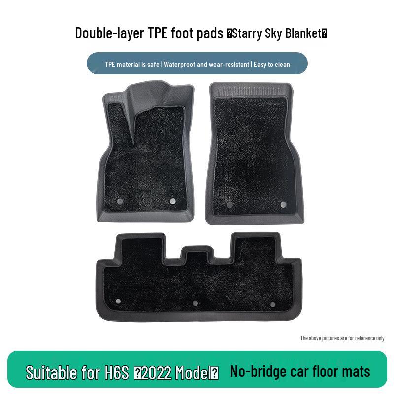 Great Wall H6S 2022 TPE Floor Mats, No Bridge Design, Various Car-Specific Styles