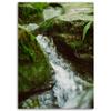 Canvas Print, Mountain Brook Landscape Nature