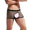 See Through Men Underpants Sexy Boxer Sheer Breathable Trunks