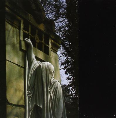 LP Schallplatte DEAD CAN DANCE - Within The Realm Of A Dying Sun CAD3629 4AD Nicht Japan Rock