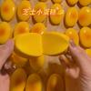 Squishy Cheese Cake Bread Slow Rising Squeeze Toy Stress Relief Sensory Fidget Toy for Autism ADHD Kids Adults