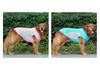 Leichte atmungsaktive Kühlweste für große Hunde - Sonnenschutz & Reflektierende Ausrüstung für den Sommer