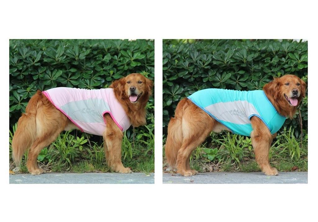 Leichte atmungsaktive Kühlweste für große Hunde - Sonnenschutz & Reflektierende Ausrüstung für den Sommer