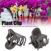 200Pcs 1.5cm Plastic Plant Clip Flower Stem Support Fixing Clamp Clips Garden Tool for Orchid