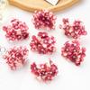 Simulation Hydrangea Shooting Prop Head DIY Handmade Hydrangea Wedding Lead Hydrangea Flower Wall Single Small Hydrangea Fake Flower Decoration