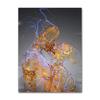Abstract Metal Figure Statue Canvas Painting Poster and Prints Golden Portrait Sculpture Wall Picture for Living Room Home Decor