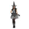 Fiestas Guirca Womens/Ladies Witch Costume Set