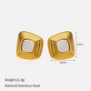 Europe United States Hot New Luxury High-End Stainless Steel Geometric Shape Earrings Multi-Style Fashion Hoop Earings