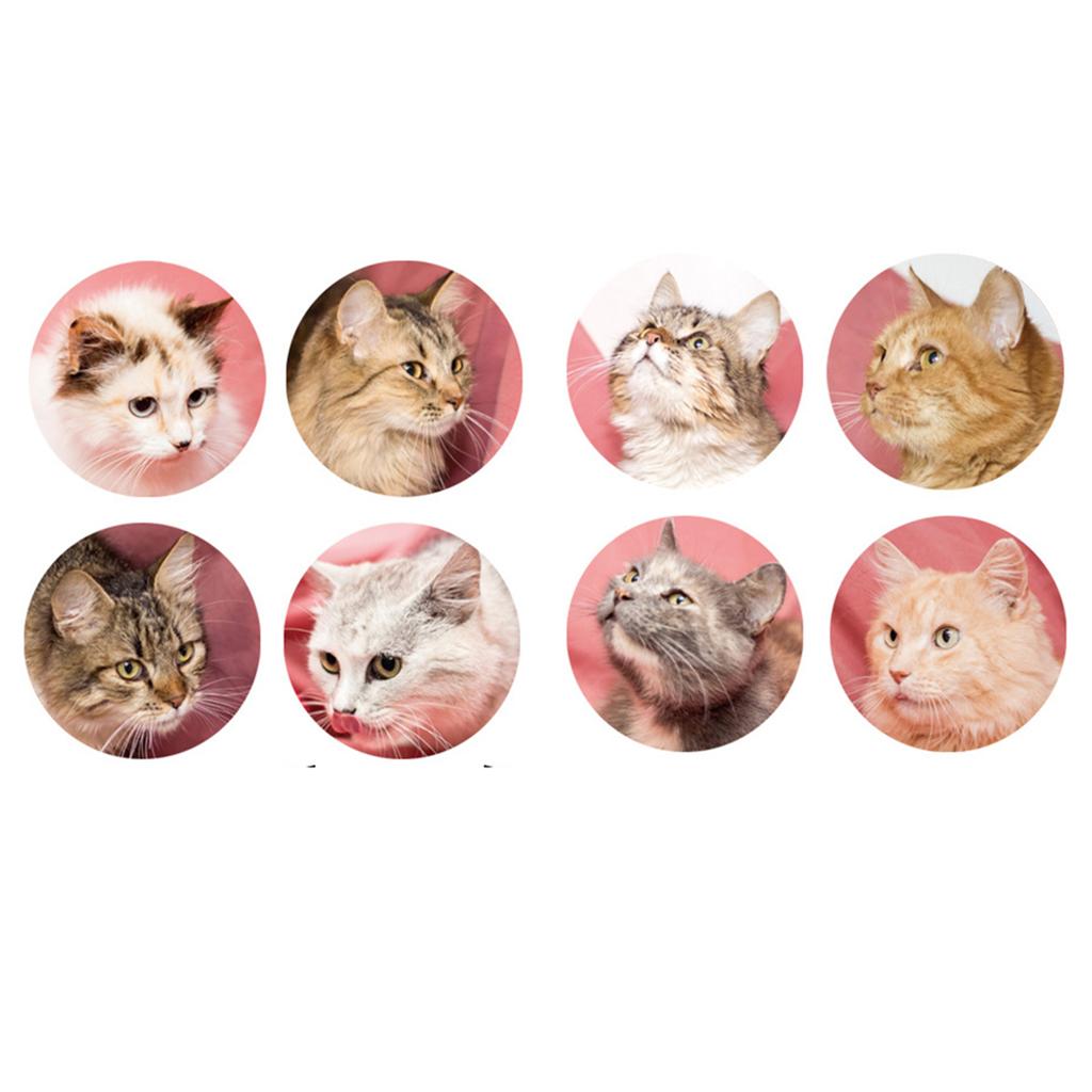 100-500pcs Cartoon Meme Cat Stickers For School Reward Stickers Gift Decor Lables Stationery Scrapbook Stickers
