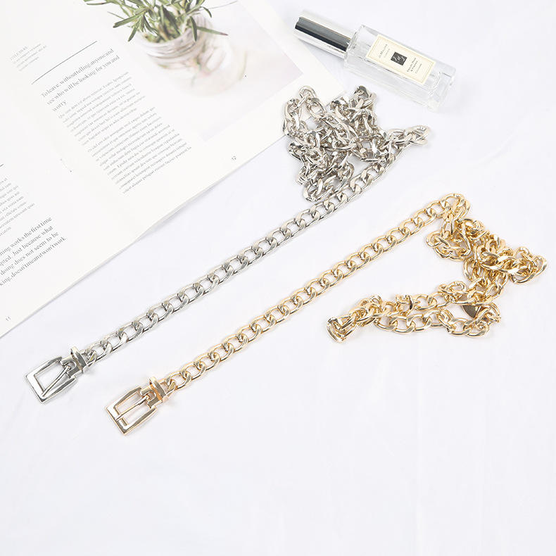 Women Metal Chain Belt 2026 Fashion Luxury Pin Buckle Waist Chain for Dress and Jeans