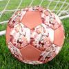 1PC Haaland Talent Size 5 Soccer Ball PrahaIndoor Soccer Ball Colorful All Ages Machine Stitched PVC Competition Ready Durable High-Bounce