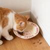Ceramic Pet Cats Bowl Flying Saucer Cats And Dog Bowl Neck -Tip Food Bowl Water Bowl