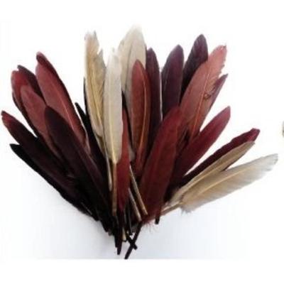 Indian Feathers - Camaïeu - Chocolate - 10 Grams - Approximately 40 Feathers - Length 15 Cm