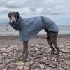 Impermeabile per Cani Taglia Grande Lusso Whippet Levriero Cani Impermeabili Giacca Dobermann Pinscher Impermeabile Passeggiate all'Aperto