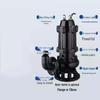 Shuangzhu 304 Stainless Steel Submersible Pump