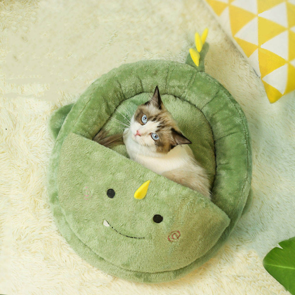dinosaur cat bed