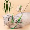 Cat Interactive Toy Tail Grass Cats Sage Feather Toy Long Pole Kitten Teasing Stick Bite Resistant Sound Toy Cat Supplies