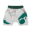 Trendy Dinosaur Cartoon Harem Shorts for Boys - Summer Five-Point Baby Bottoms