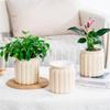 Double Layer Flowerpot Self-Watering Planters Minimalist Hydroponic Flower Pot Succulent Pots Home Decor Gardening Supplies
