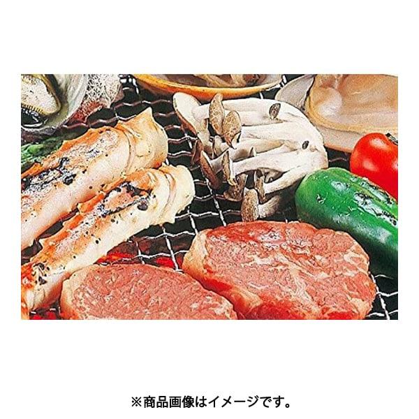 Captain Stag Captain Stag M 6597 [Soße Barbecue aMi No. 7 300 X 300MM]